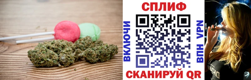 Cannafood марихуана Гатчина
