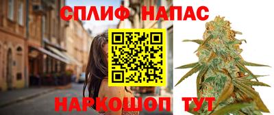 не бодяженный Гатчина