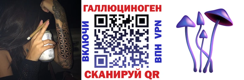Псилоцибиновые грибы мухоморы Гатчина