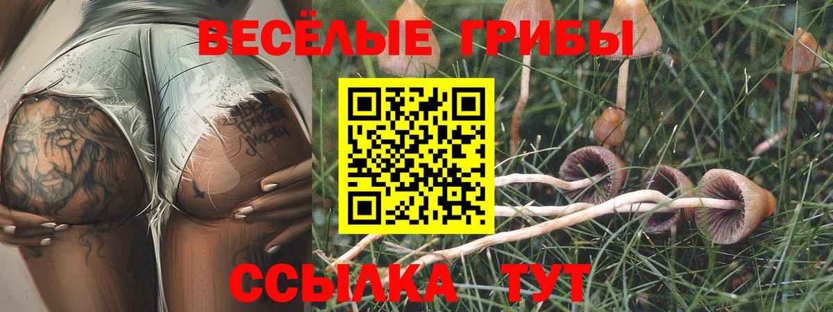 Галлюциногенные грибы мухоморы Гатчина