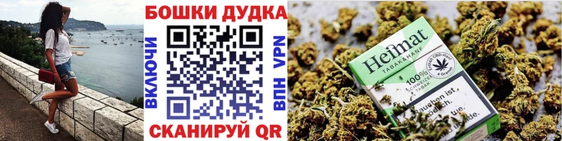 МАРИХУАНА сатива  Гатчина 