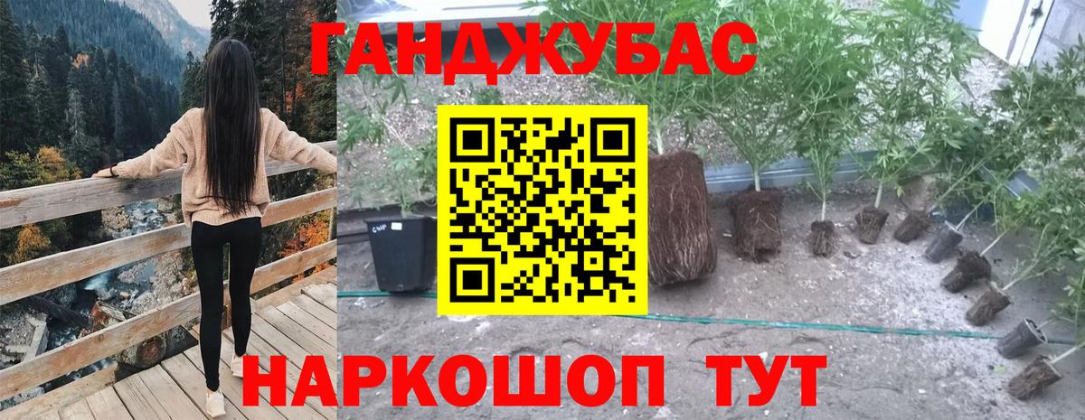 Бошки Шишки индика Гатчина